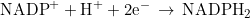 \text{NADP}^++\text{H}^++2\text{e}^-\,\rightarrow\,\text{NADPH}_2