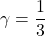 \gamma=\dfrac{1}{3}