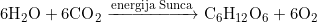 6\text{H}_2\text{O}+6\text{CO}_2\xrightarrow{\text{energija Sunca}}\text{C}_6\text{H}_{12}\text{O}_6+6\text{O}_2