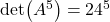 \det (A^5)=24^5