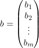 b=\begin{pmatrix} b_1\\b_2\\\vdots\\b_m \end{pmatrix}