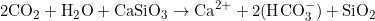 2\text{CO}_2+\text{H}_2\text{O}+\text{CaSiO}_3\rightarrow\text{Ca}^{2+}+2(\text{H}\text{CO}_3^-)+\text{SiO}_2