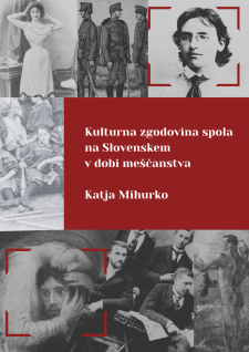 Kulturna zgodovina spola na Slovenskem v dobi meščanstva book cover