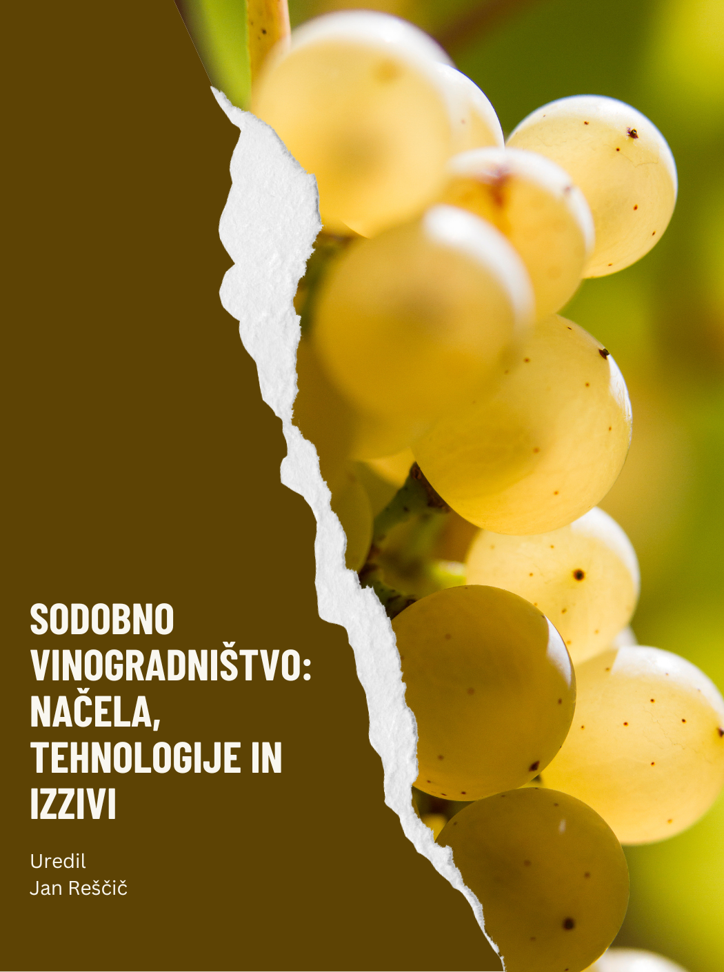 Cover image for Sodobno vinogradništvo: Načela, tehnologije in izzivi